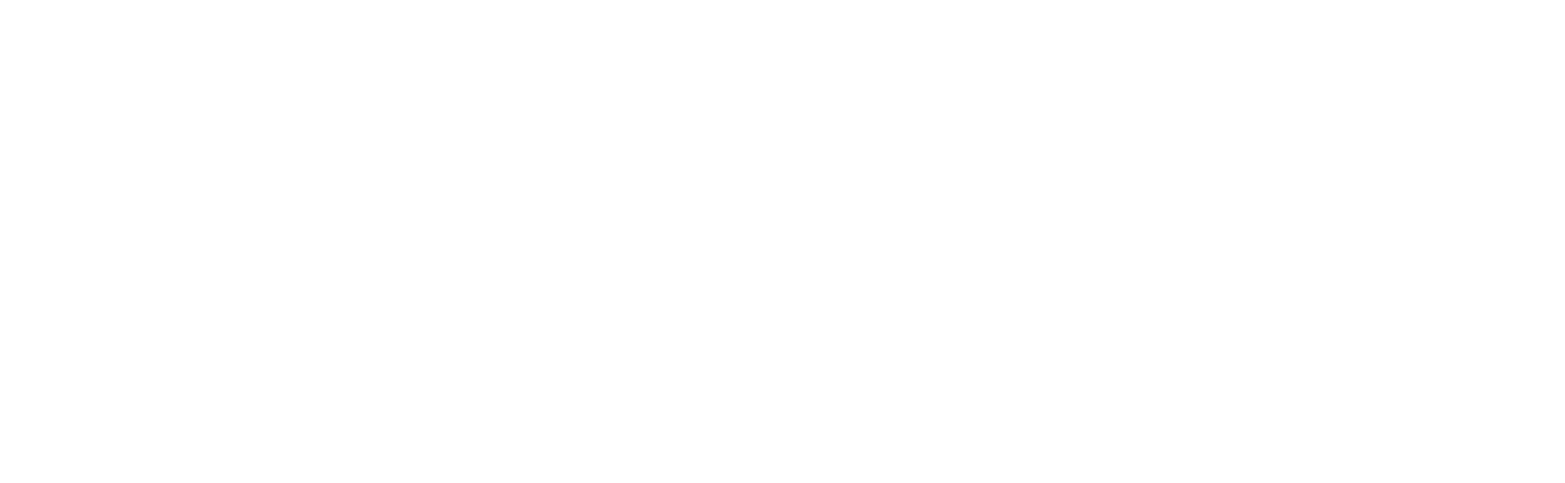 logo Viaco